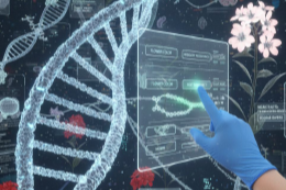 VR-симулятор «Эффективное животноводство и современные корма» VR-симулятор «Эффективное животноводство и современные корма»